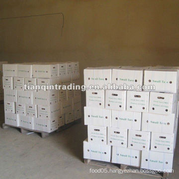 2012 new crop fresh china taro